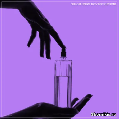 VA - Chillout Essence Flow Best Selections (2026) MP3