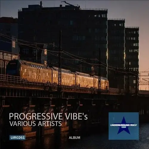 VA - Progressive Vibe's (2024) (MP3)