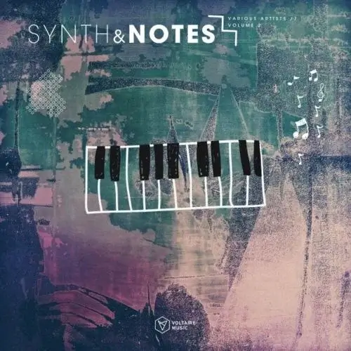 VA - Synths & Notes, Vol 2 (2024) (MP3)