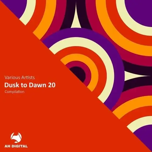 VA - Dusk to Dawn 20 (2024) (MP3)