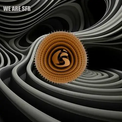 VA - We Are SFR (2024) (MP3)