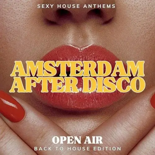 VA - Amsterdam After Disco (2024) (MP3)