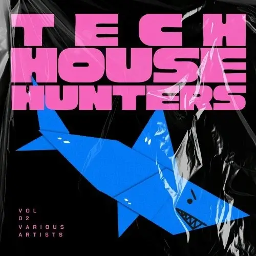 VA - Tech House Hunters, Vol 2 (2024) (MP3)