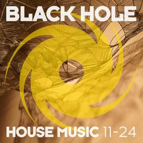 VA - Black Hole House Music 11-24 (2024) (MP3)