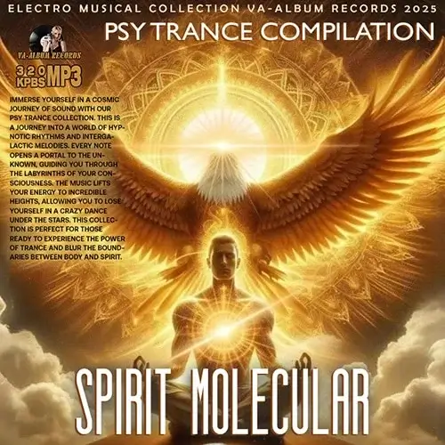 VA - Spirit Molekular (2025) (MP3)